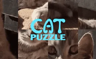 Play Cat Puzzle online - Glouplay