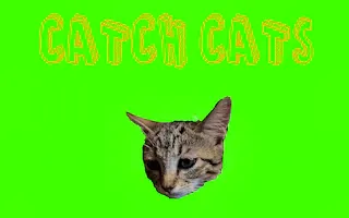 Play Catch Cats online - Glouplay