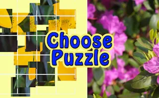 Play Choose Puzzle online - Glouplay