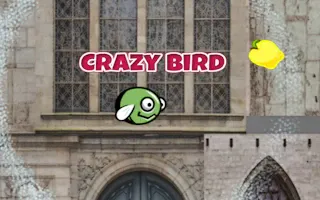 Play CrazyBirdCity online - Glouplay