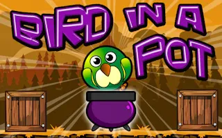 Play Bird In A Pot online - Glouplay