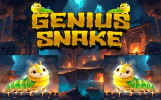 Play Genius Snake online - Glouplay