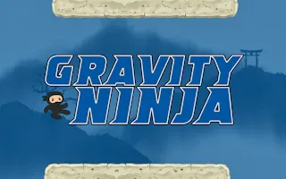 Play Gravity Ninja online - Glouplay