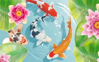 Play Idle Koi Pond online - Glouplay