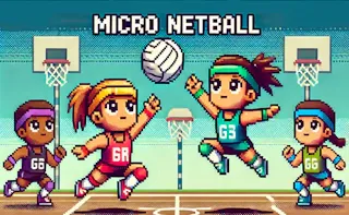 Play Micro Netball online - Glouplay