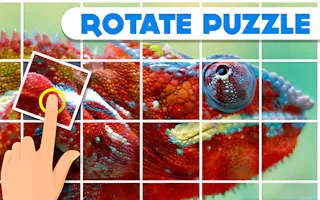 Play Rotate Puzzle online - Glouplay
